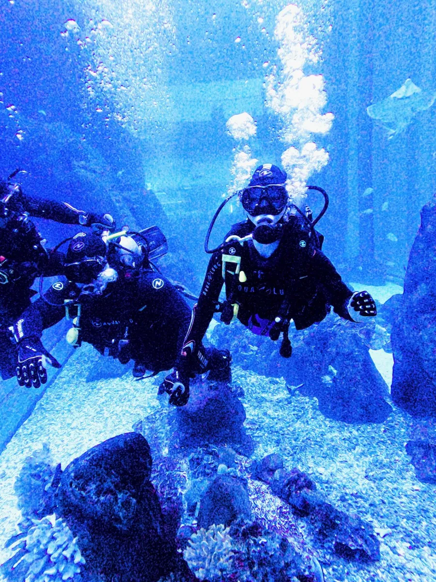 трегубова, дубай