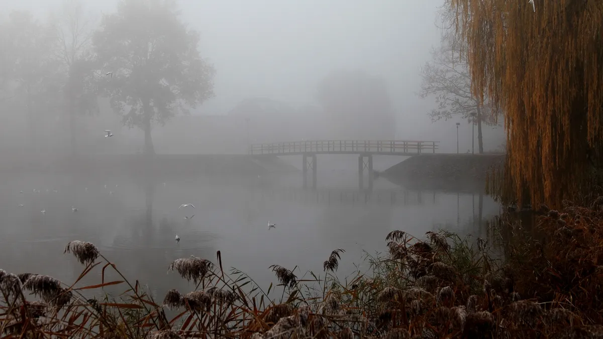Яка погода завтра, 20 грудня: фахівчиня дала синоптичний прогноз на суботу