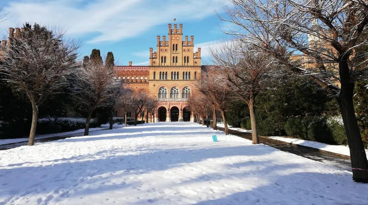 Зима в Чернівцях. Фото chernivtsi-tours