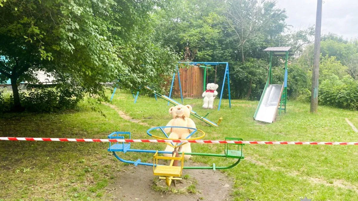 Два плюшеві ведмедики налякали містян та додали роботи саперам: що трапилося у Рівному