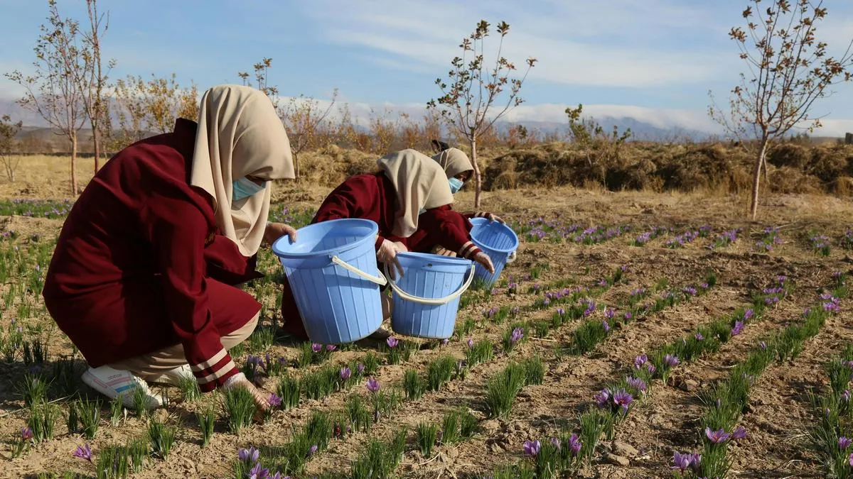 афганістан, жінки