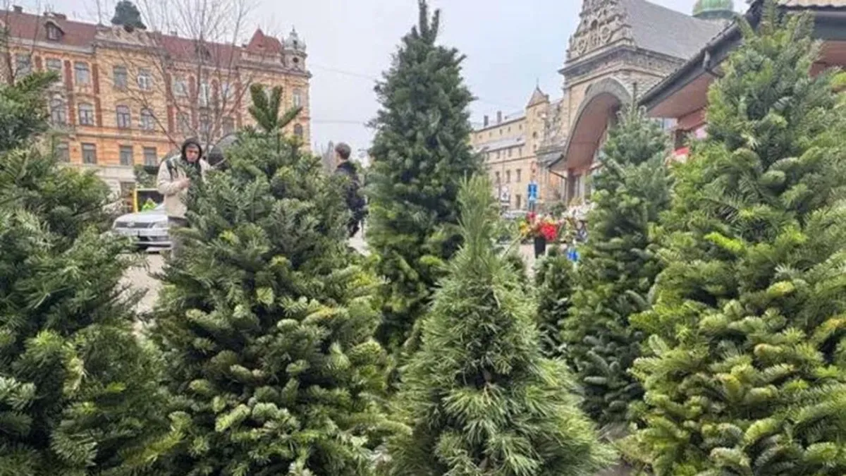 Живі ялинка чи сосна на Новий рік можуть негативно вплинути на здоров'я: експерт розповів, чим вони небезпечні