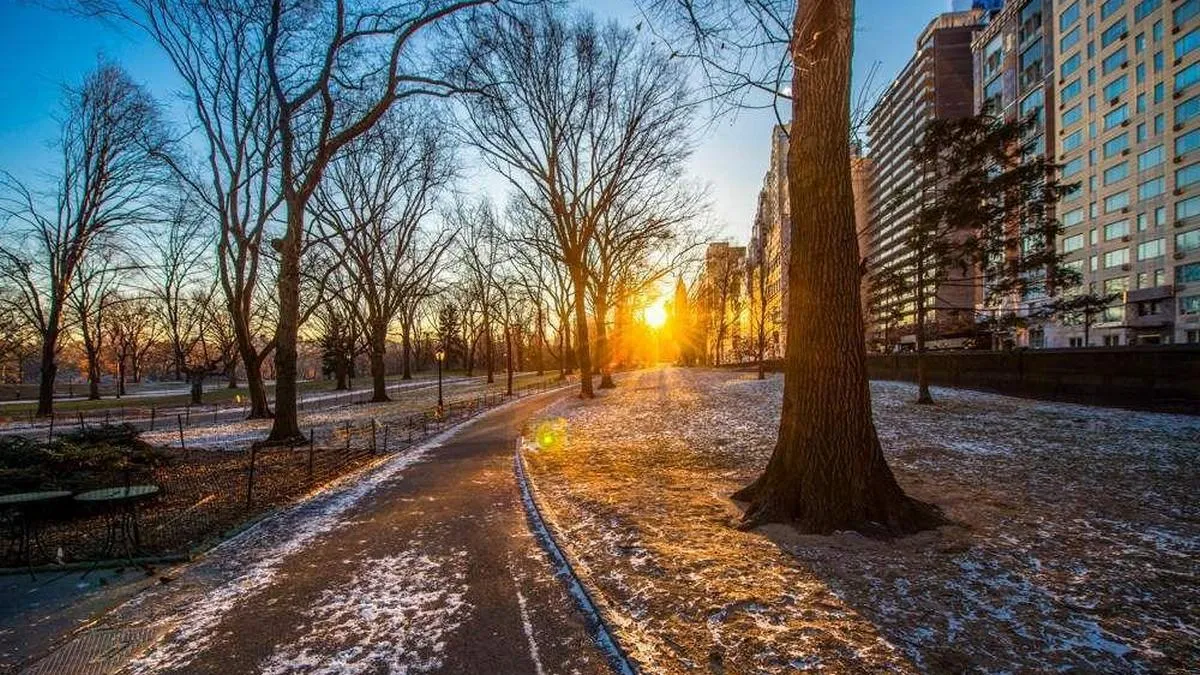 Яка погода завтра, 17 грудня: температура буде стабільною, подекуди утворяться тумани