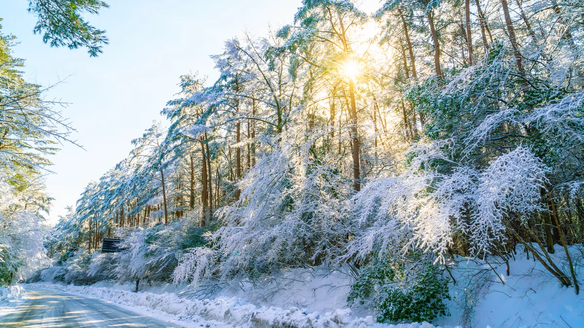Яка погода в Україні 6 лютого: чи відступлять морози – синоптикиня озвучила свій прогноз 