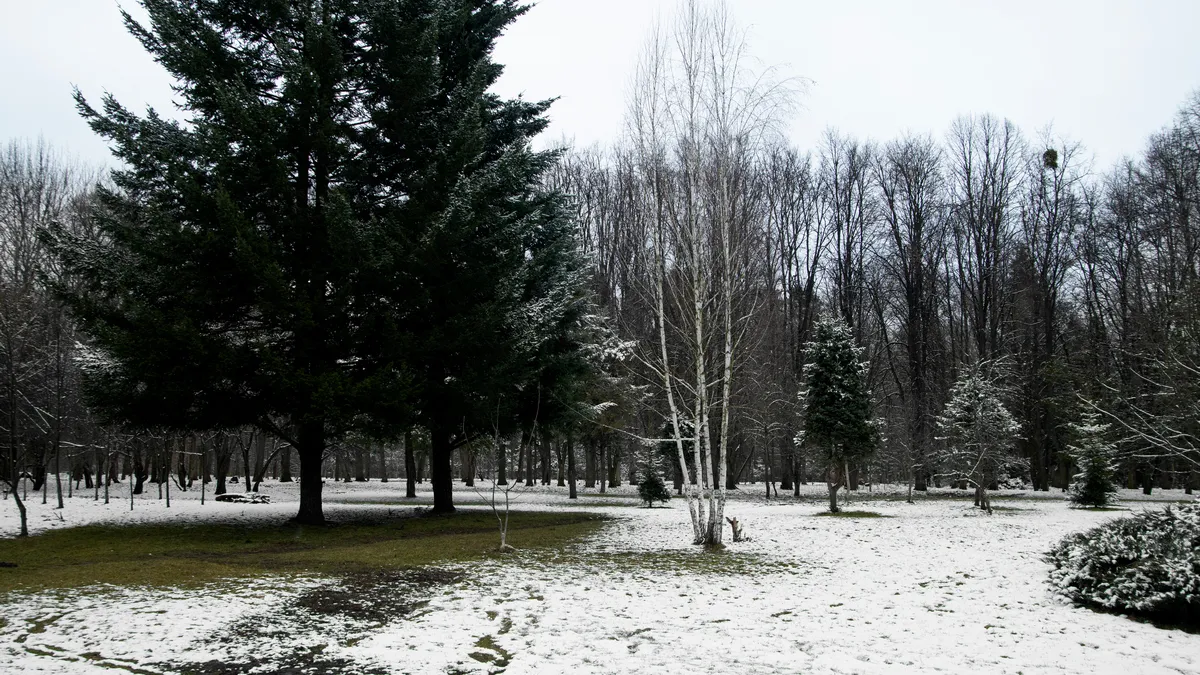 Прогноз погоди на завтра, 31 січня: синоптикиня попередила, чого очікувати українцям у суботу
