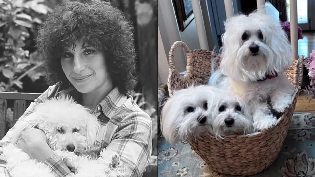 Барбра Стрейзанд готується до нового клонування домашніх улюбленців: навіщо їй це потрібно