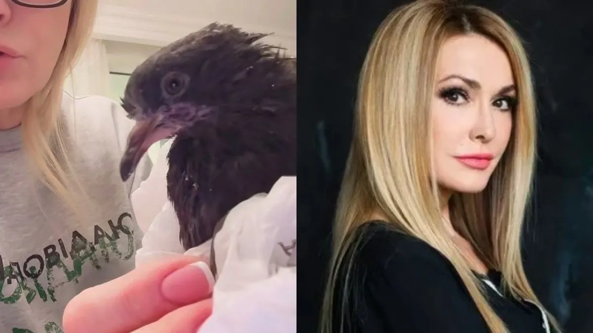 Ольга Сумська врятувала маленьке пташеня: артистка розповіла, як доглядає за новим улюбленцем