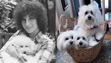 Барбра Стрейзанд готується до нового клонування домашніх улюбленців: навіщо їй це потрібно