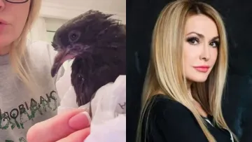 Ольга Сумська врятувала маленьке пташеня: артистка розповіла, як доглядає за новим улюбленцем