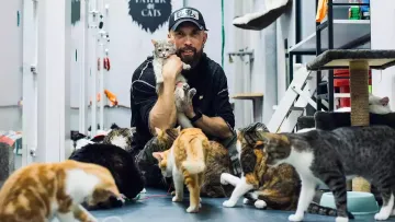 Цимбалюк і Терен почули все, що про їх участь у шоу «‎Холостяк» думає зірковий актор: «‎Провалився»