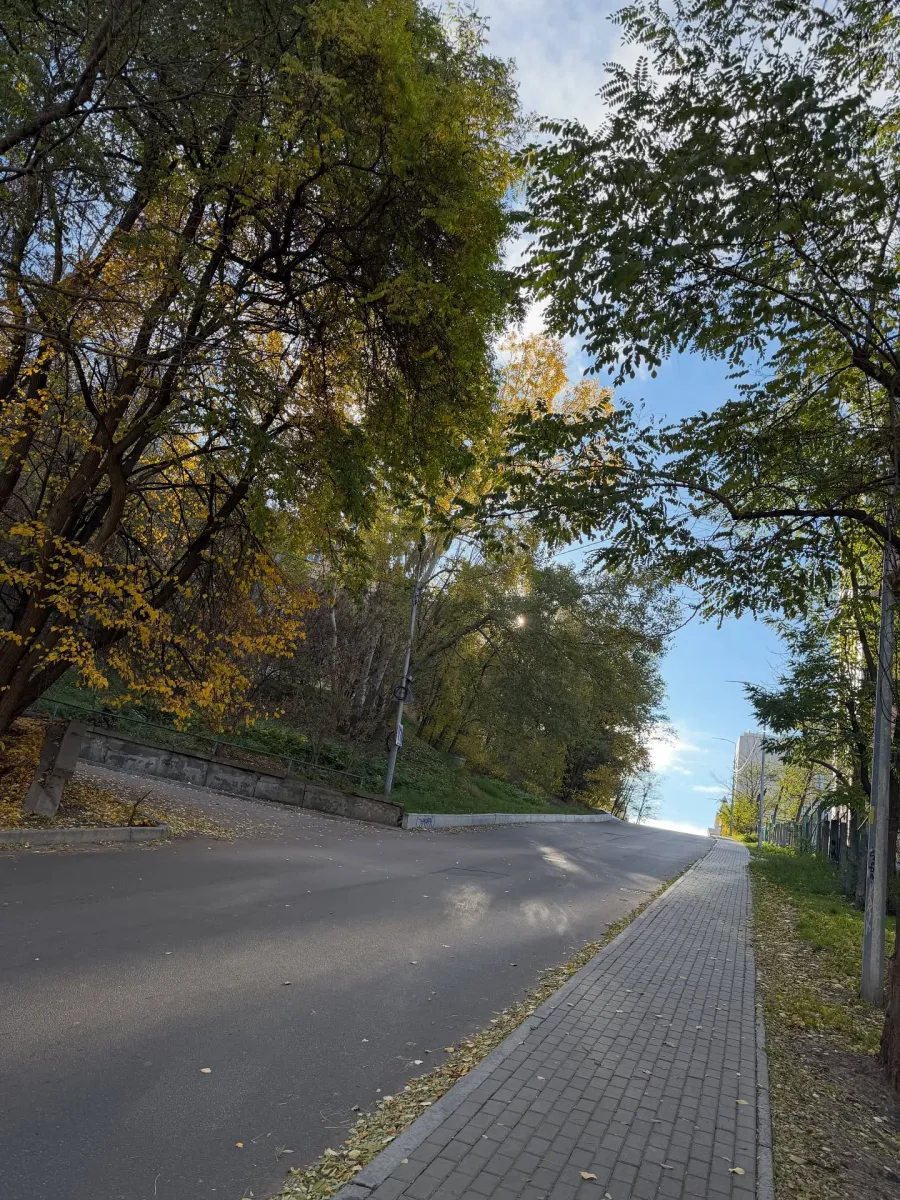 бадоєв, фото