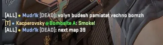 мудрик, волинь