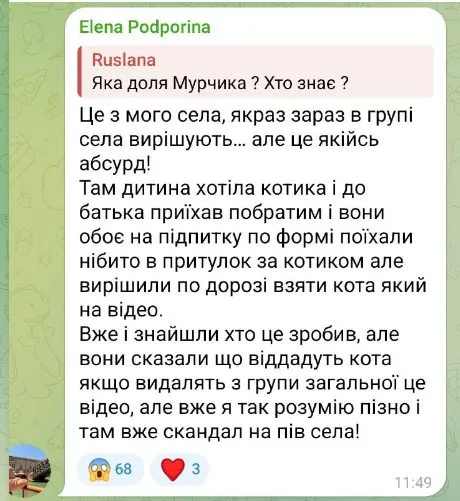 кіт, мобілізація, ТЦК
