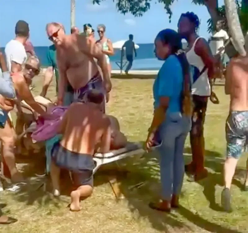 акула, напад