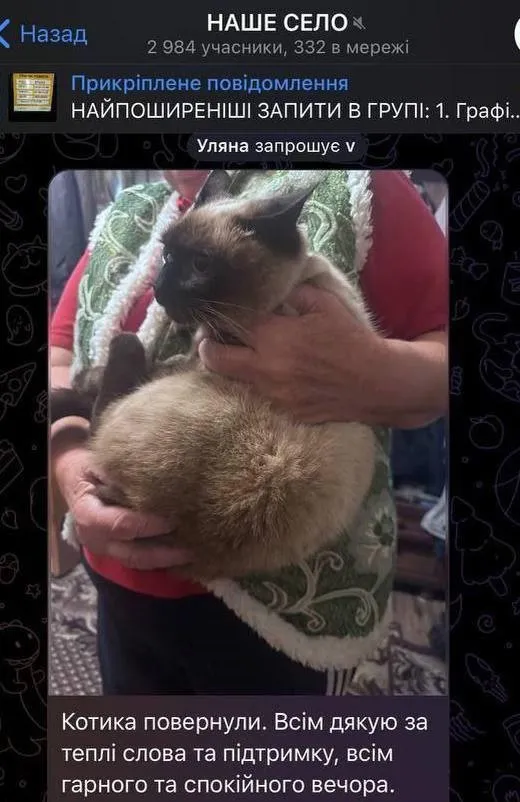 кіт, мобілізація, ТЦК