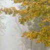 Яка погода завтра, 28 жовтня: синоптики прогнозують хмарний день та тумани на заході