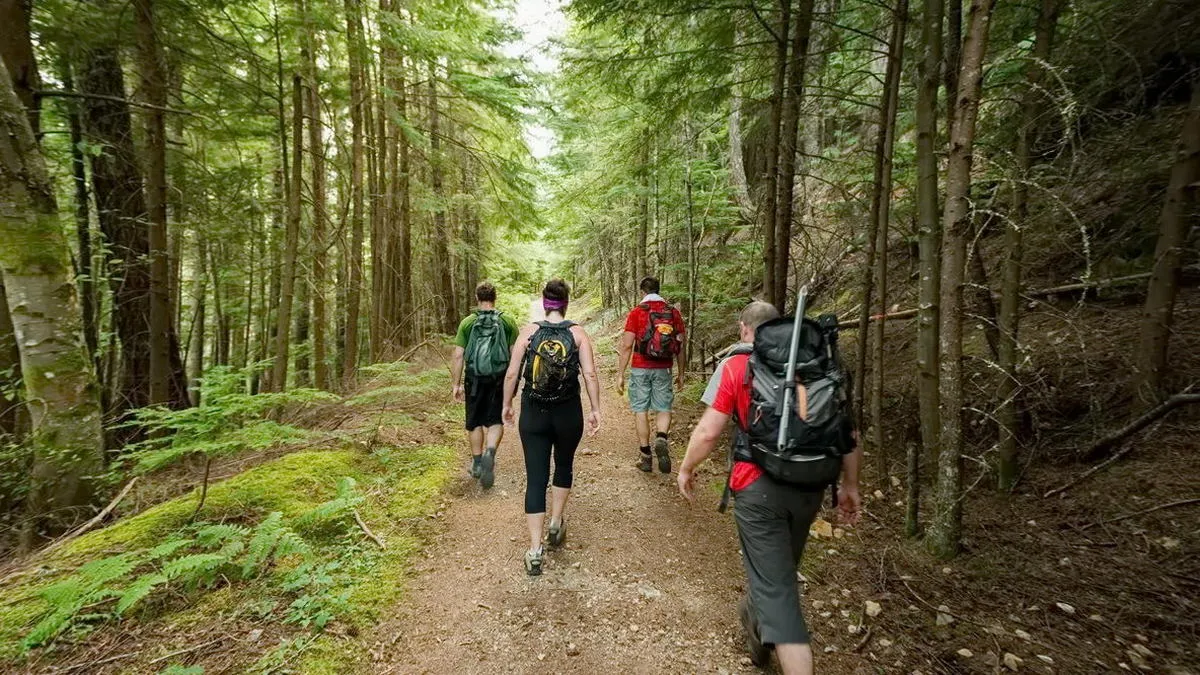 Піший туризм під загрозою: як клімат і люди руйнують стежки і плани тисяч мандрівників