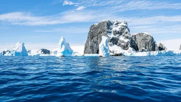 Дводенне життя і відмова від крил: існує єдина комаха, яка здатна виживати у Антарктиді