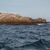 Дари моря: іранські рибалки виловлюють в Ормузькій протоці парфуми та iPhone з затонулого судна GFS Pride