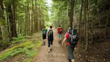 Піший туризм під загрозою: як клімат і люди руйнують стежки і плани тисяч мандрівників