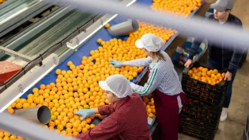 Там, де потрібні руки та уважність: українка в Іспанії розповіла, як знайти роботу в цій країні