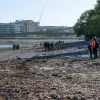 У Темзі прибирають «острів» з 180 тонн вологих серветок: подробиці екологічної катастрофи посеред Лондону