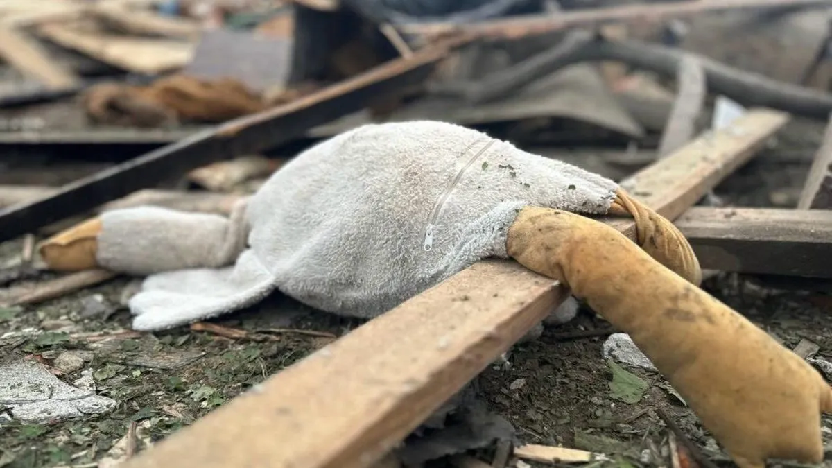 На Житомирщині Росія вбила трьох дітей: рятувальники показали наслідки ворожого удару
