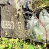 5 кілограмів вибухівки у траві: в Естонії знайшли бойовий дрон, який летів атакувати