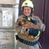 «Він вижив попри все»: ДСНС показала зворушливе відео порятунку собаки з-під завалів