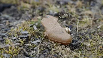 Потужний вибух у Херсоні: на протипіхотній міні підірвався чоловік