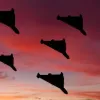 Росія вночі атакувала Україну: у Харкові БпЛА влучили в багатоповерхівки, є постраждалі – подробиці