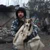 «Багато мертвих тварин»: в Запоріжжі росіяни обстріляли притулок для собак, волонтери рятують поранених чотирилапих