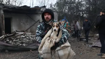 «Багато мертвих тварин»: в Запоріжжі росіяни обстріляли притулок для собак, волонтери рятують поранених чотирилапих