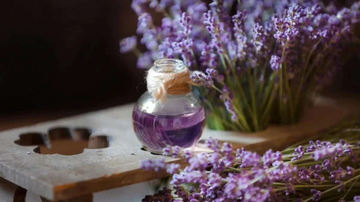лаванда, олія