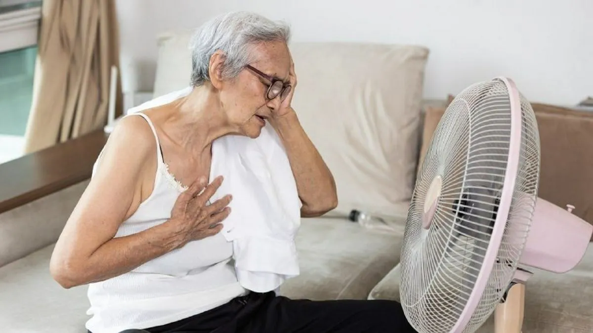 Спека старить швидше: вчені з’ясували, як екстремальні температури впливають на клітини