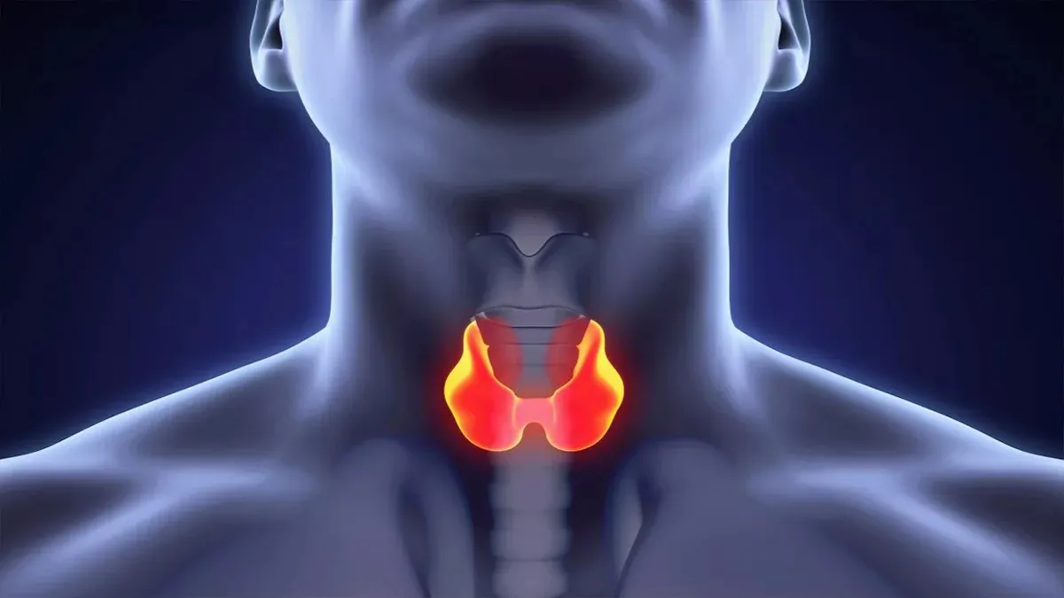 Продукти, багаті селеном: як підтримати щитоподібну залозу та зміцнити імунітет