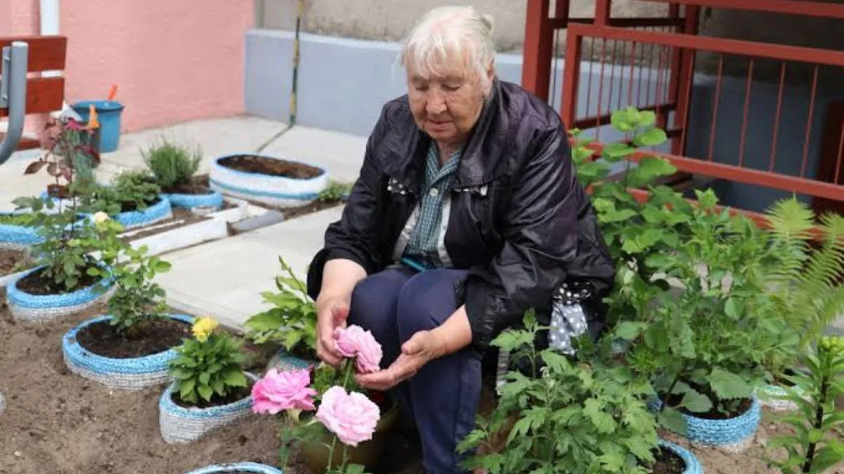 Пенсіонерка з Харкова побила незнайому жінку, бо та потопталась по її клумбі: як покарали агресивну бабусю