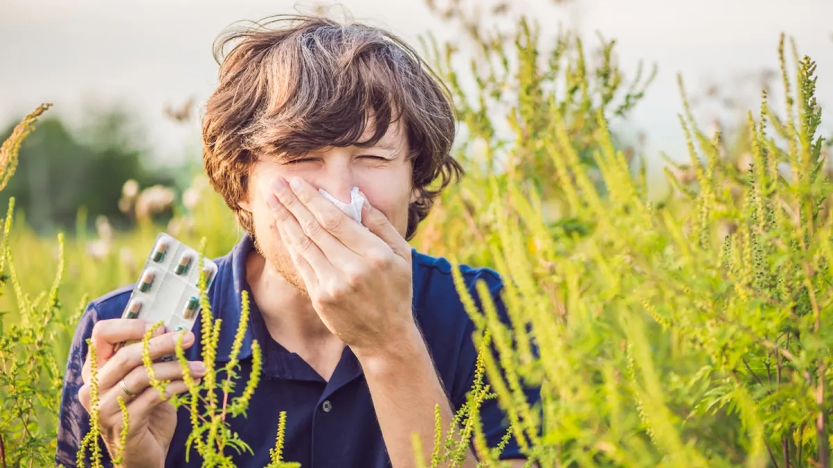 Береза, амброзія та полин: коли чекати на пік алергії в Україні у 2026 році