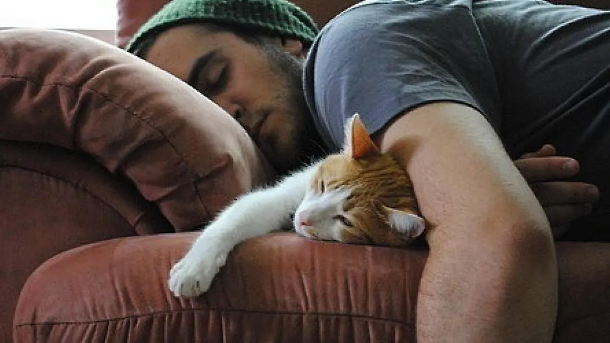 Чи безпечно спати з тваринами: американські науковці пояснили плюси та мінуси ділити ліжко з псом або котом