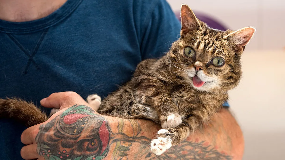 Ці домашні тварини можуть покращити психічне здоров'я власників: йдеться не про собак чи морських свинок