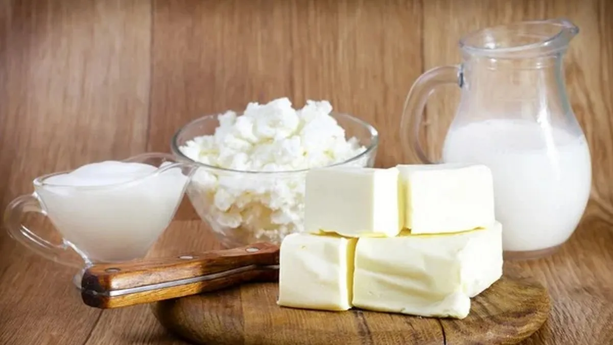 Сир чи йогурт: дієтологи нарешті дали остаточну відповідь, що корисніше для вашого здоров’я