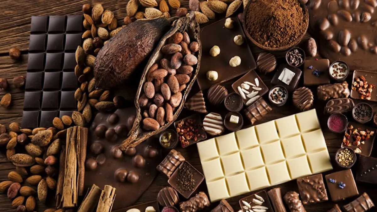 Секретна речовина в какао: дослідники пояснили, як шоколад бореться зі старінням