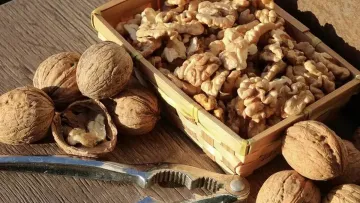 Можуть замінити рибу: експерти назвали топ-4 продукти з високим вмістом омега-3