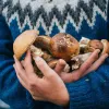 Усього 20–30 калорій на сто грамів: фітнес-тренерка назвала продукт, який допоможе схуднути