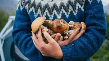 Усього 20–30 калорій на сто грамів: фітнес-тренерка назвала продукт, який допоможе схуднути
