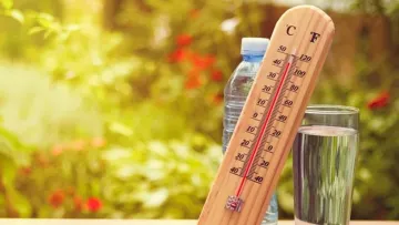 Як врятуватися від аномальної спеки: лікарка дала 13 простих порад, які допоможуть уникнути перегріву
