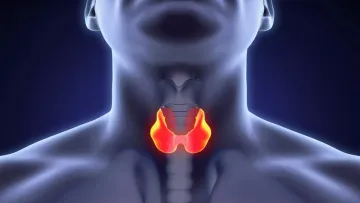 Продукти, багаті селеном: як підтримати щитоподібну залозу та зміцнити імунітет