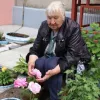 Пенсіонерка з Харкова побила незнайому жінку, бо та потопталась по її клумбі: як покарали агресивну бабусю
