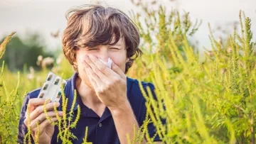 Береза, амброзія та полин: коли чекати на пік алергії в Україні у 2026 році