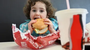Американські вчені шокували впливом фастфуду на мозок: чому варто відмовитися від гамбургерів і шаурми